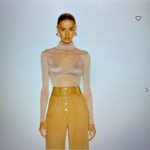 Gorgeous & sexy turtleneck! Only worn once